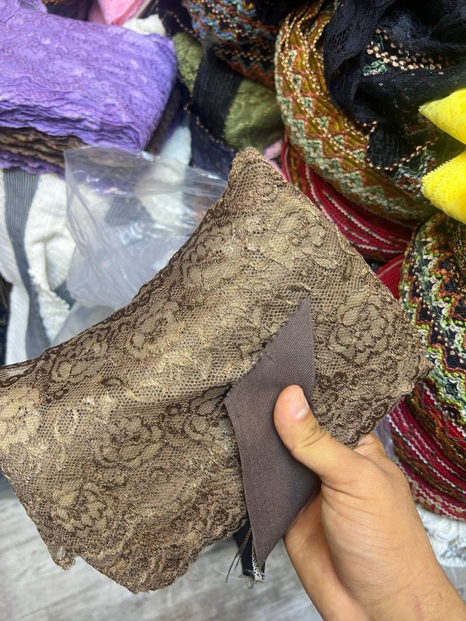بارونی پرستو